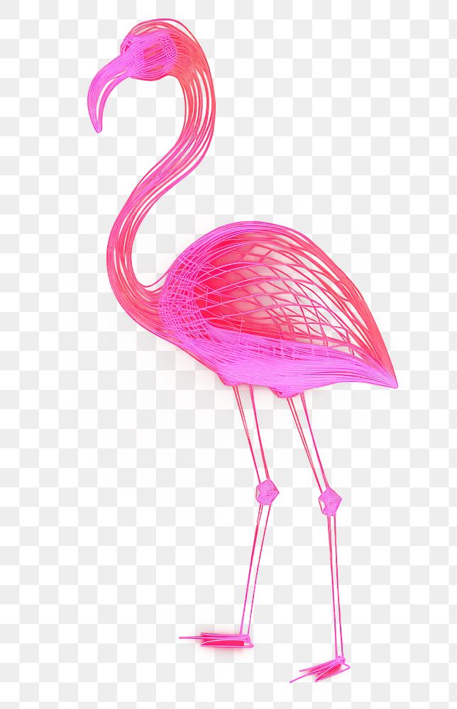 PNG  Neon flamingo wireframe animal light bird.