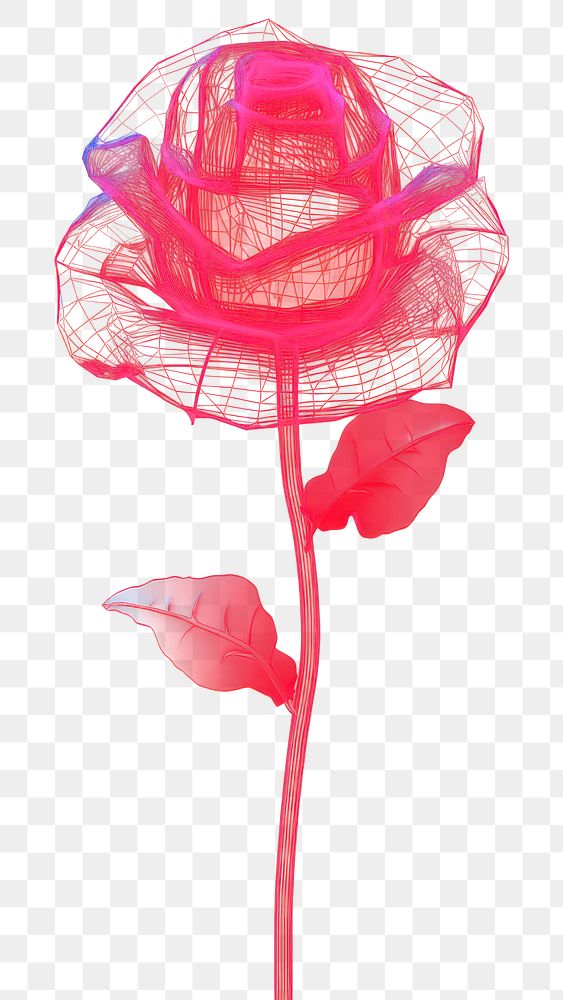 PNG  Neon rose wireframe light inflorescence illuminated