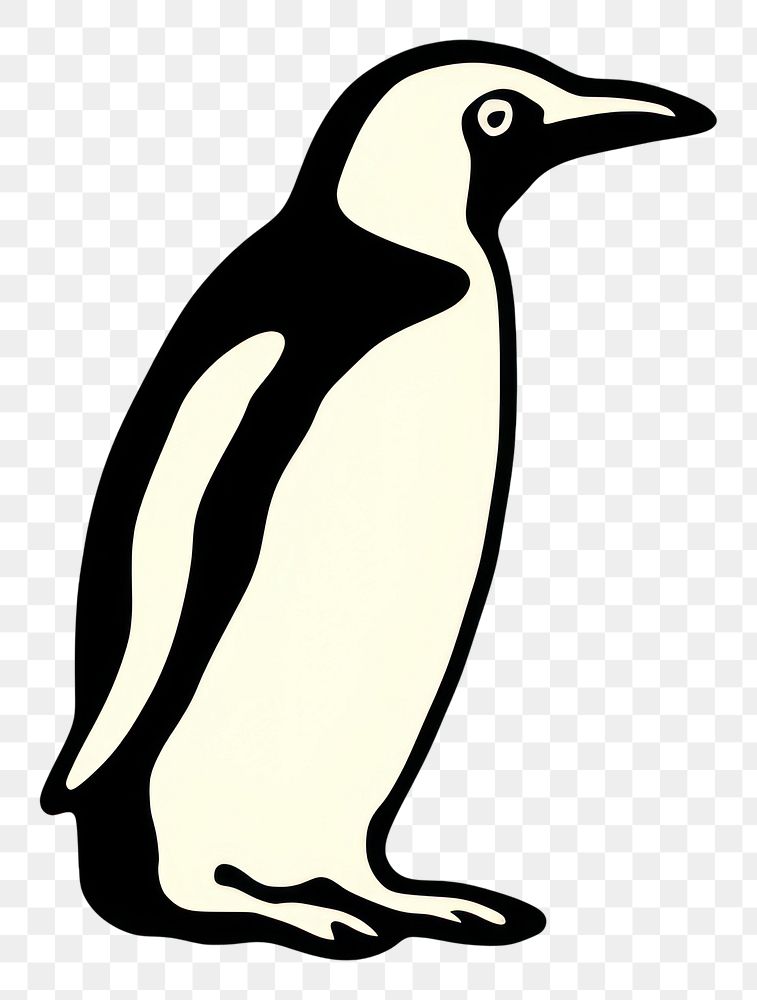 PNG Penguin animal bird wildlife.