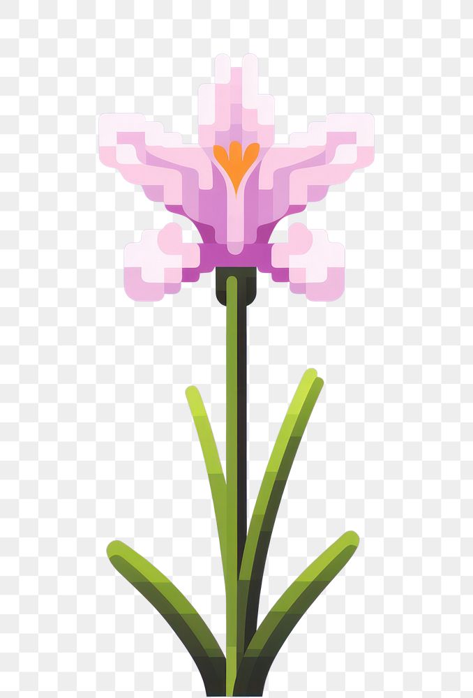 PNG Crocus flower pixel blossom plant inflorescence.