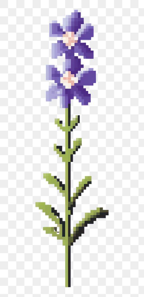 PNG False Indigo flower pixel lavender blossom purple.