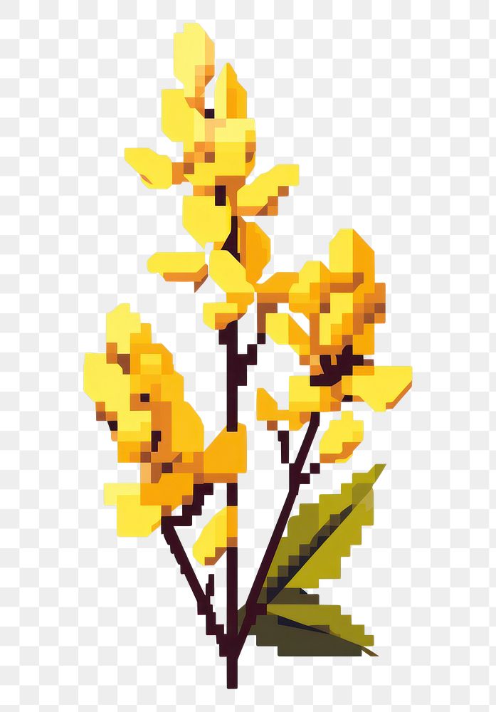 PNG Forsythia flower pixel plant art freshness.