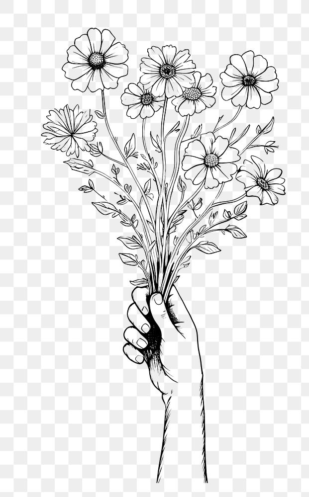 PNG Hand holding flowers drawing pattern sketch.