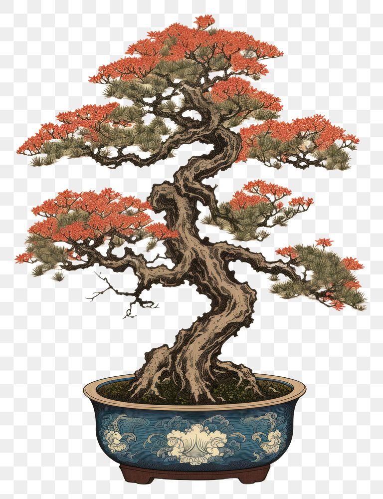 PNG Potted small tree bonsai plant art.