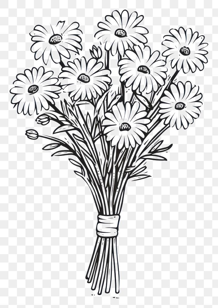 PNG Daisies flower drawing sketch.