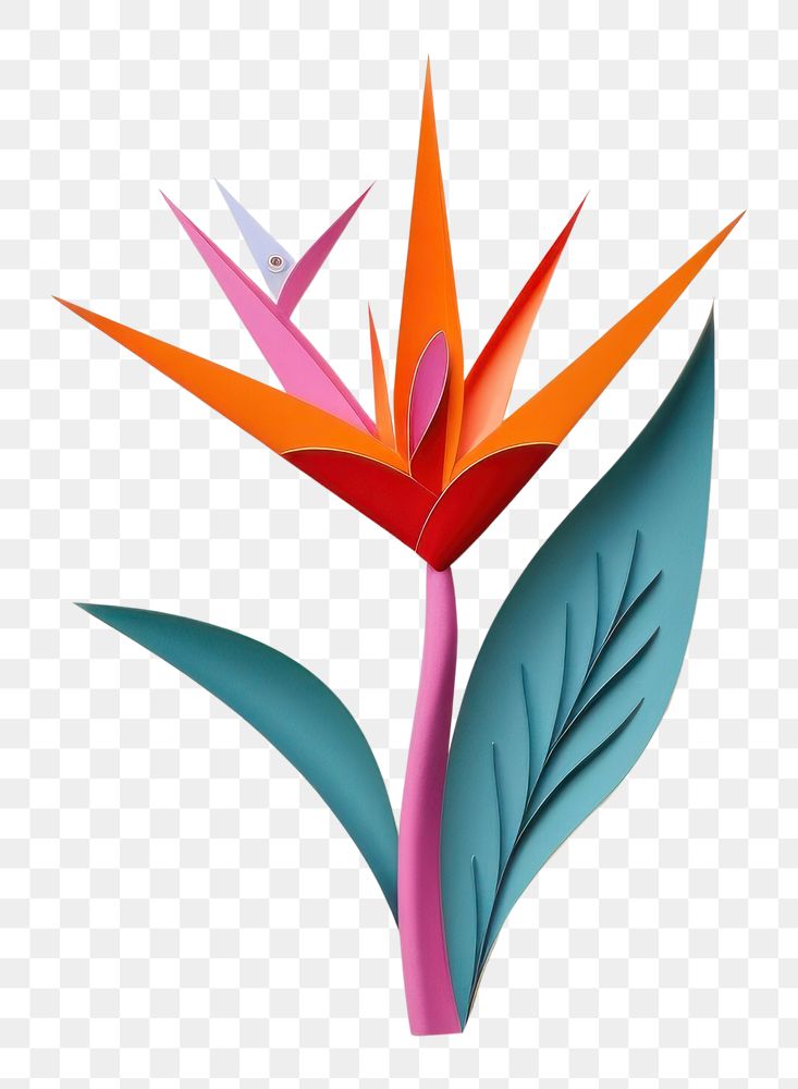 PNG Bird of paradise art flower plant.
