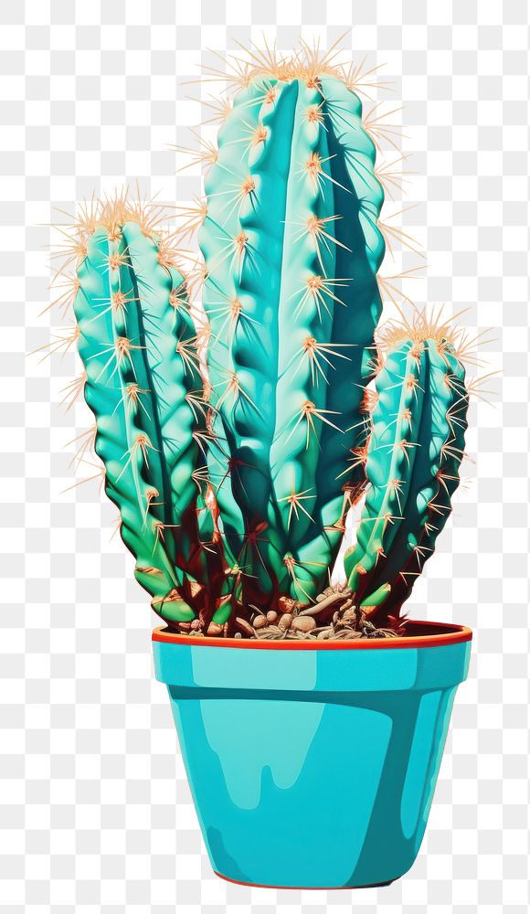 PNG Potted cactus isolated plant art houseplant.