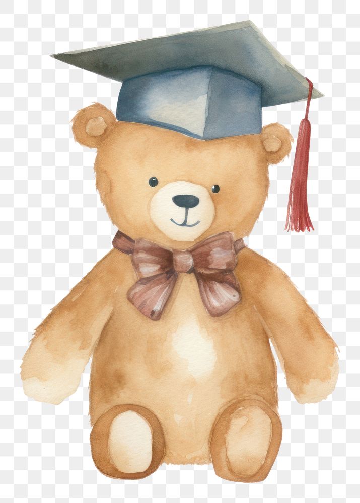 PNG  Teddy bear graduation toy white background.