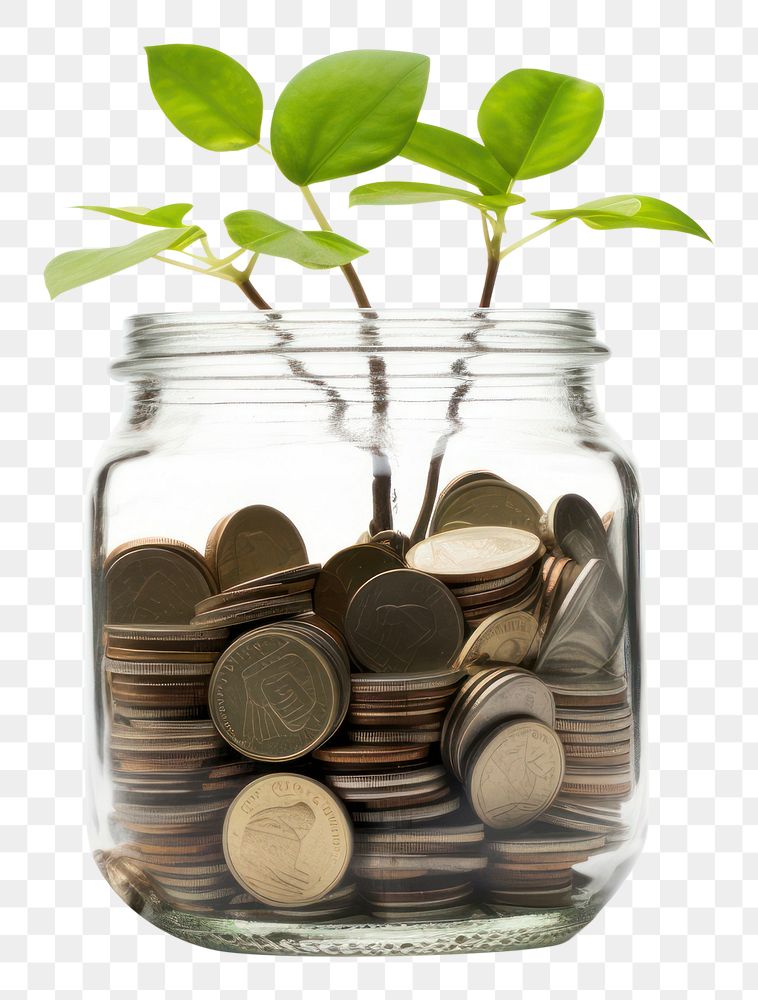 PNG Jar of money plant economy green.