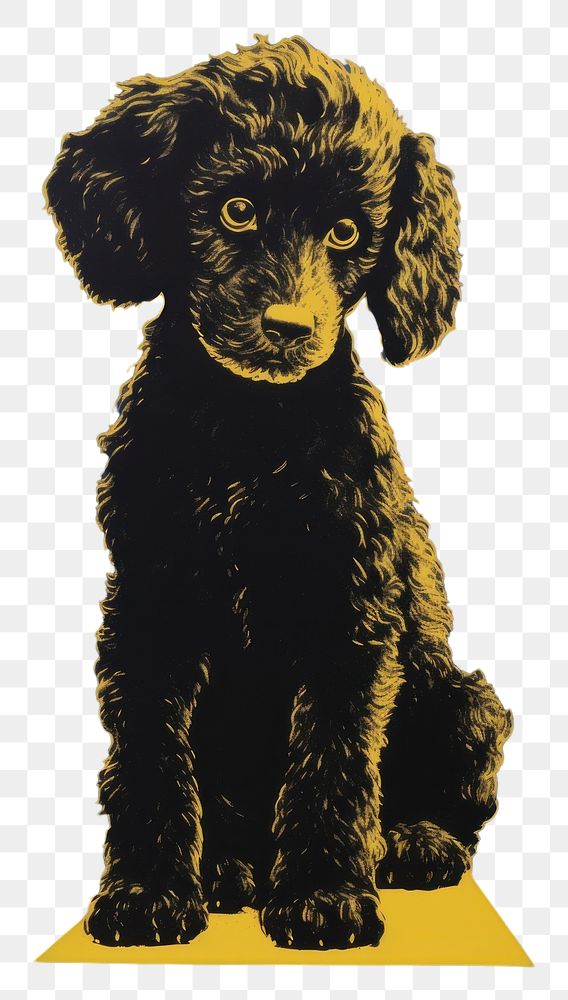 PNG Poodle dog animal mammal yellow.