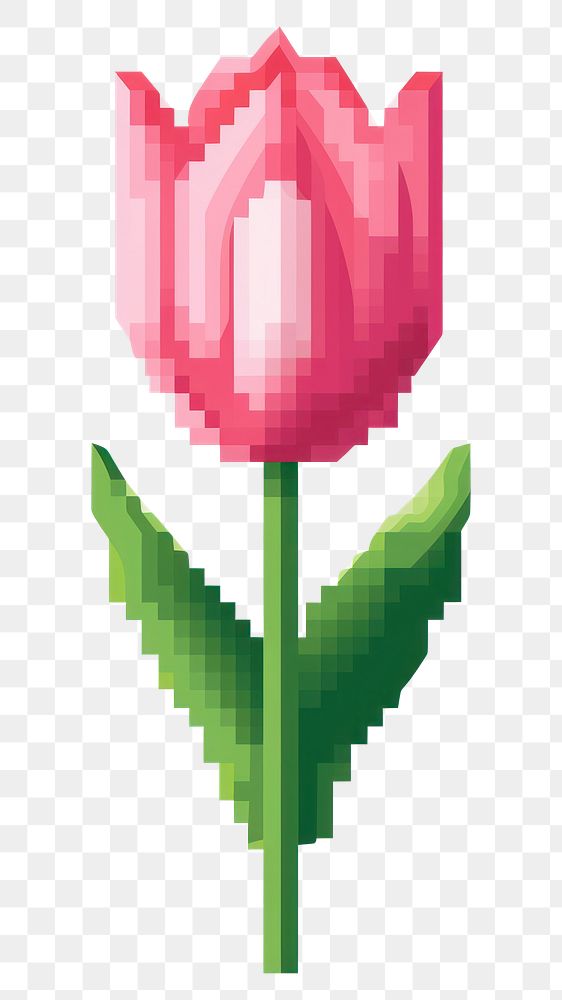 PNG Tulip pixel flower plant art.