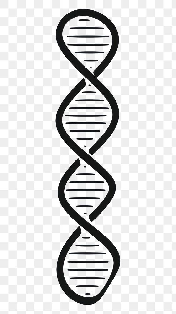 PNG DNA strand icon line white background research.