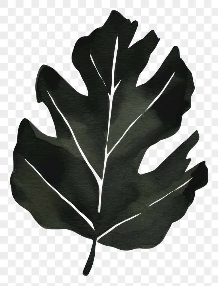 PNG Leaf bold shape plant black tree.