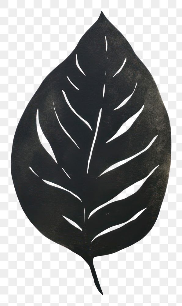 PNG Leaf plant black white background.