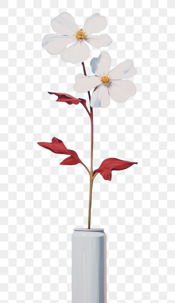 PNG Minimal space flower plant petal vase.