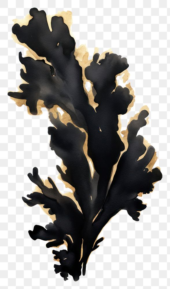 PNG Black color coral seaweed ink white background.