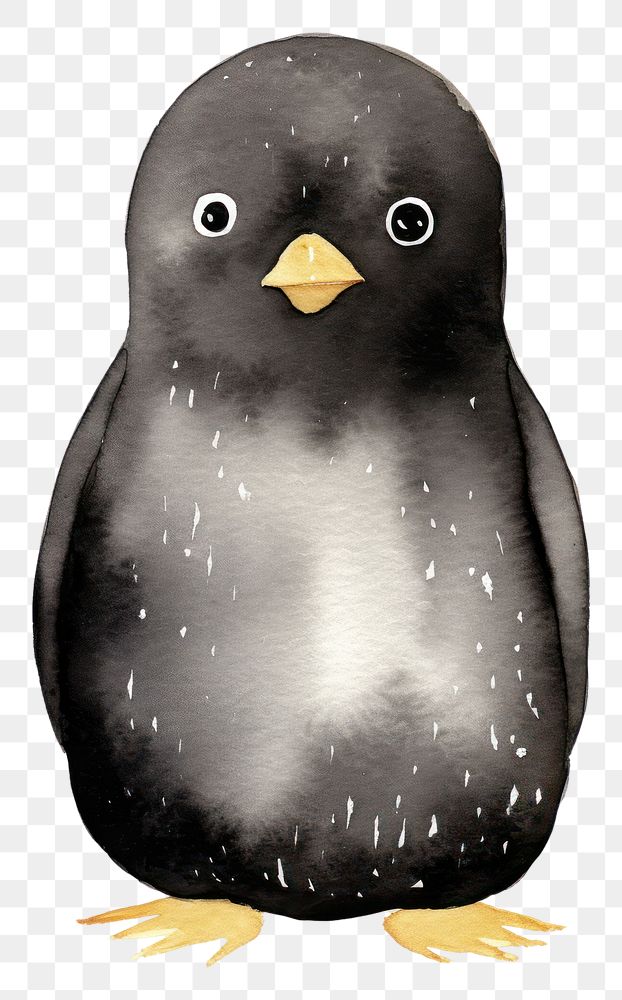 PNG Black color cute penguin animal bird white background.