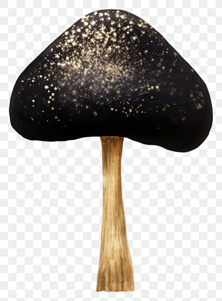PNG Black color mushroom fungus plant white background.
