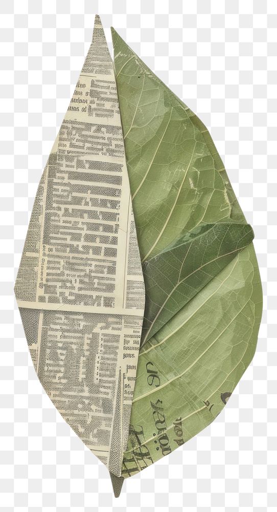 PNG Paper spring leaf plant art currency