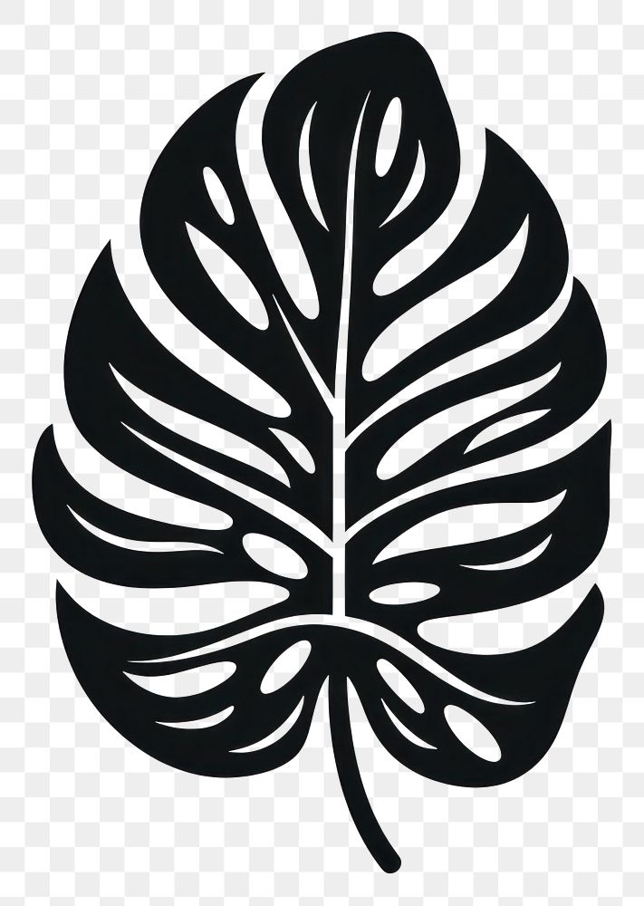 PNG A black monstera leaf old school hand poke tattoo style plant logo xanthosoma.