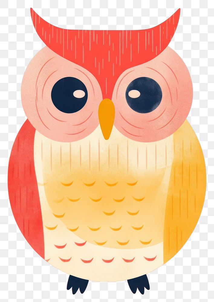 PNG Owl teacher art animal bird.