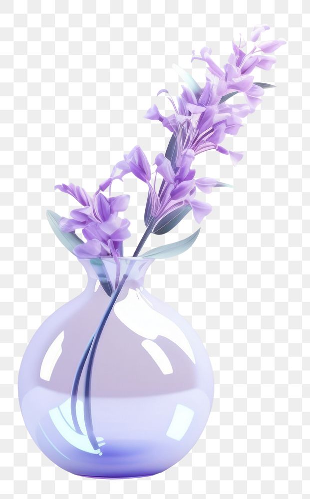 PNG Lavender flower plant vase.