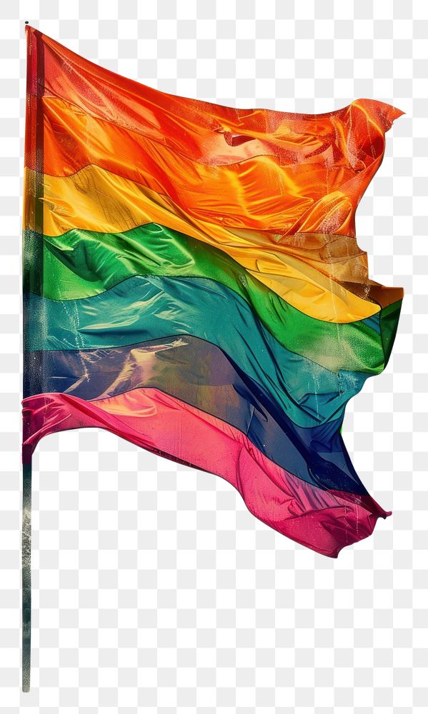 PNG Gay rights flag creativity patriotism.
