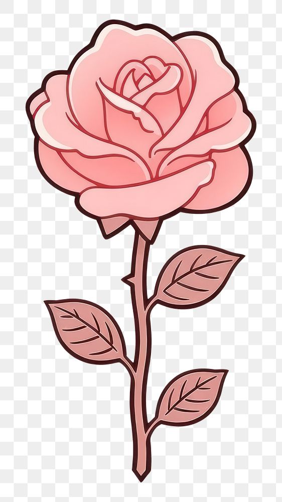 PNG Pink rose flower drawing sketch petal.