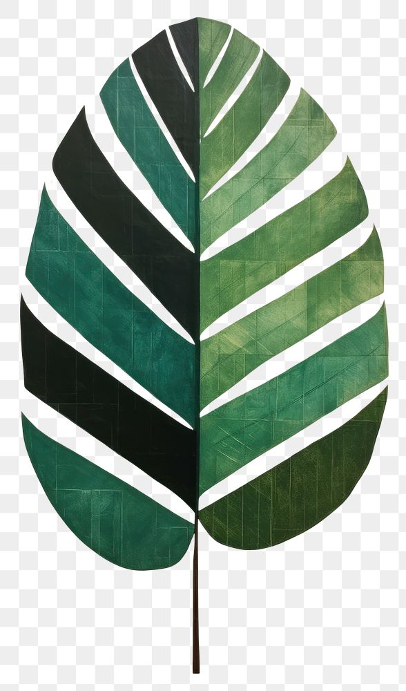 PNG Plant leaf pattern circle.