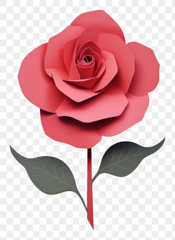 PNG Rose flower petal plant.
