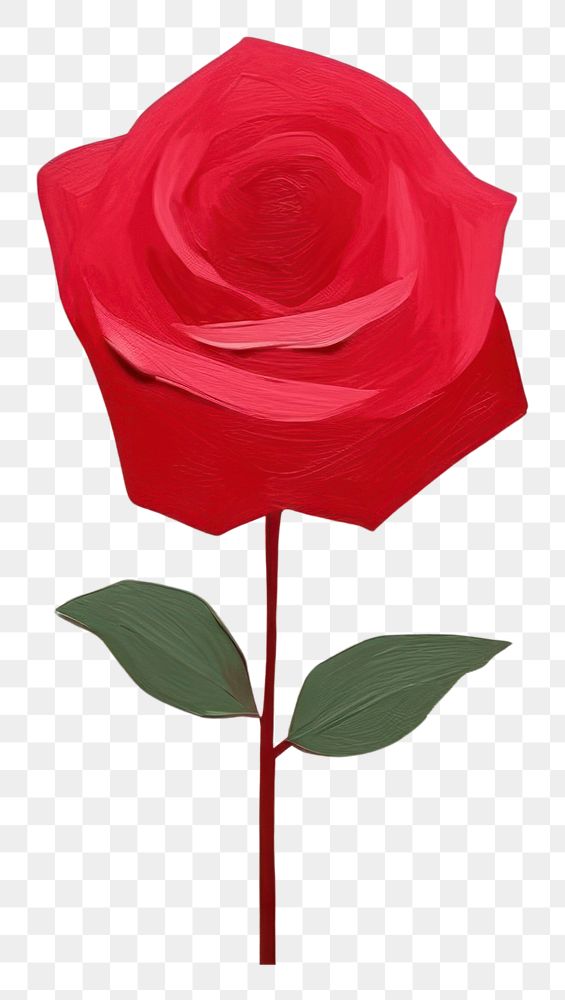 PNG Rose art flower petal