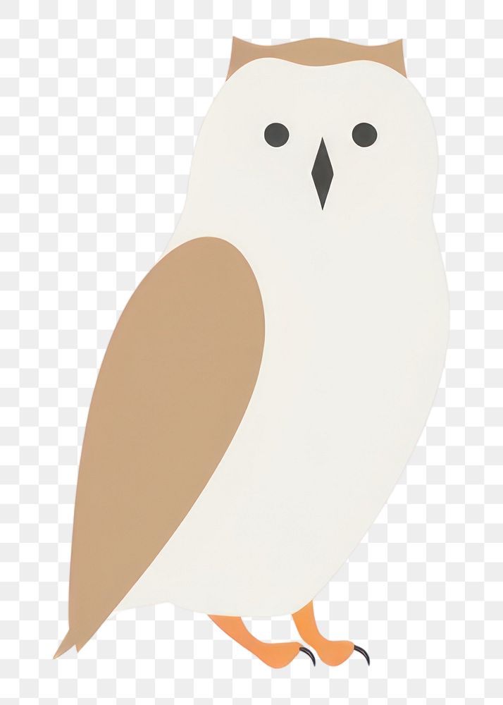 PNG Owl cartoon animal bird.