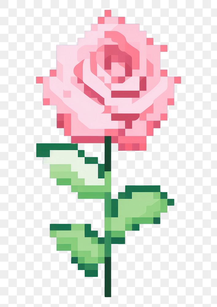 PNG Roses garden flower symbol plant.