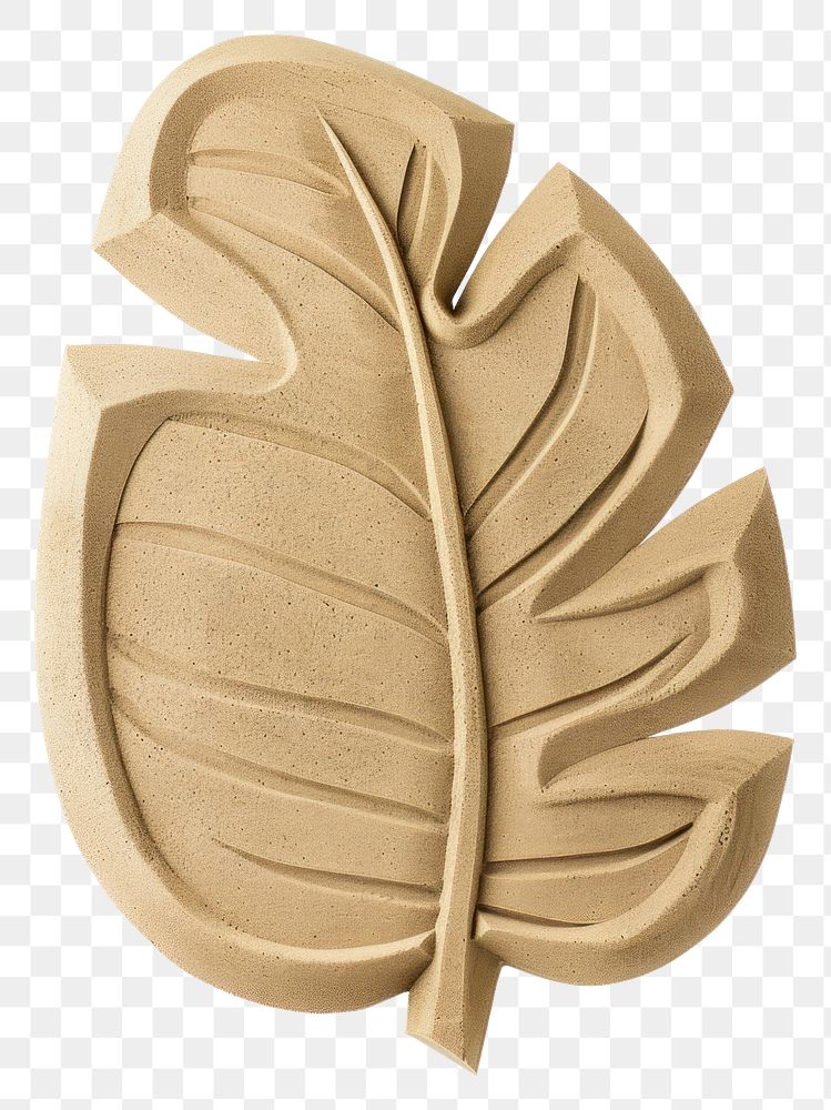 PNG Plant leaf creativity accessory.