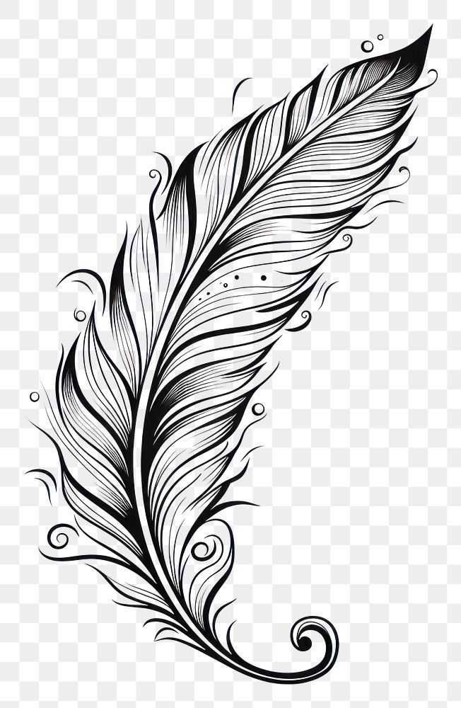 PNG Feather pattern drawing sketch.