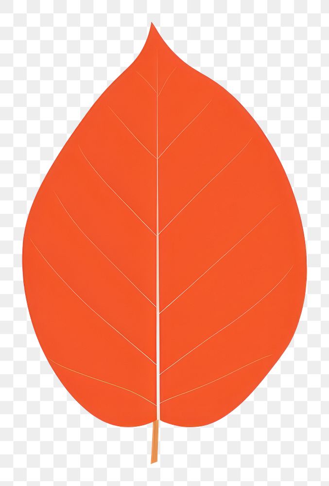 PNG Plant leaf pattern circle.