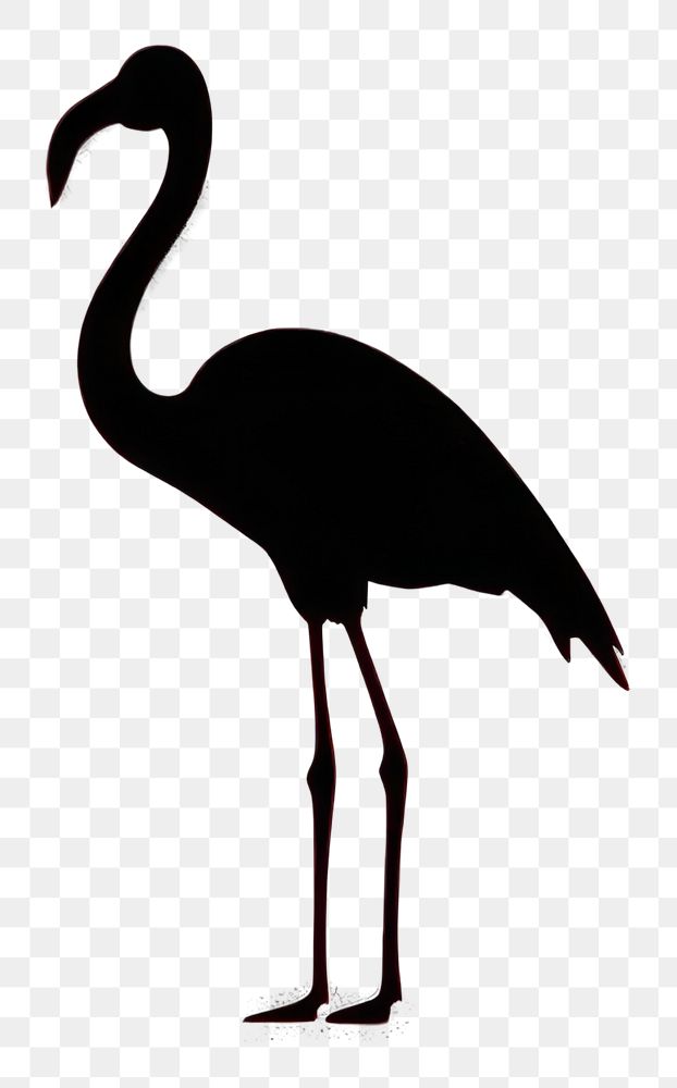PNG Flamingo animal bird red.
