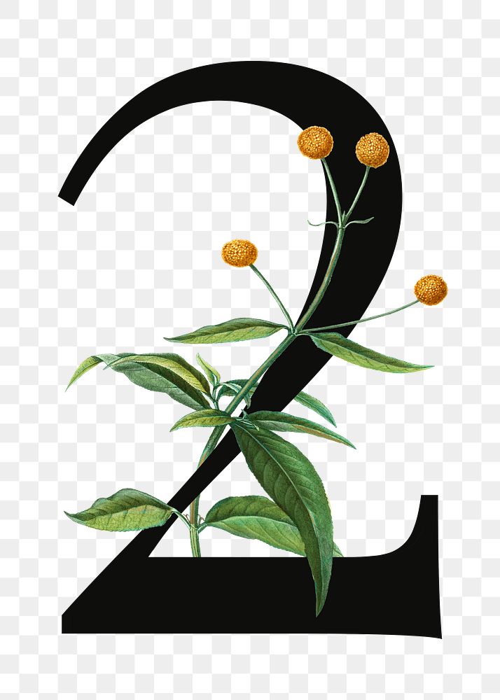 Number two png floral illustration, transparent background