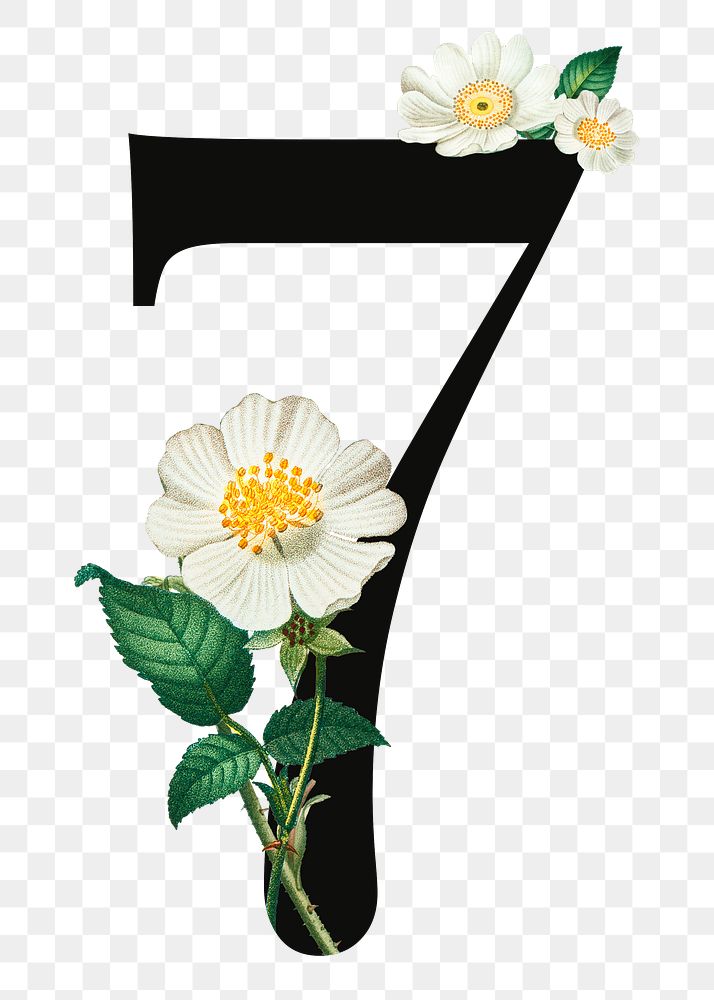 Number 7 png floral illustration, transparent background