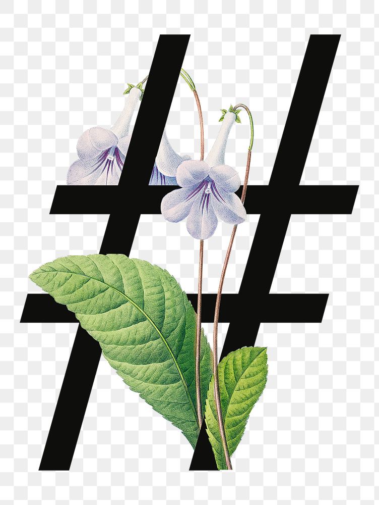 Floral hashtag png digital art illustration, transparent background