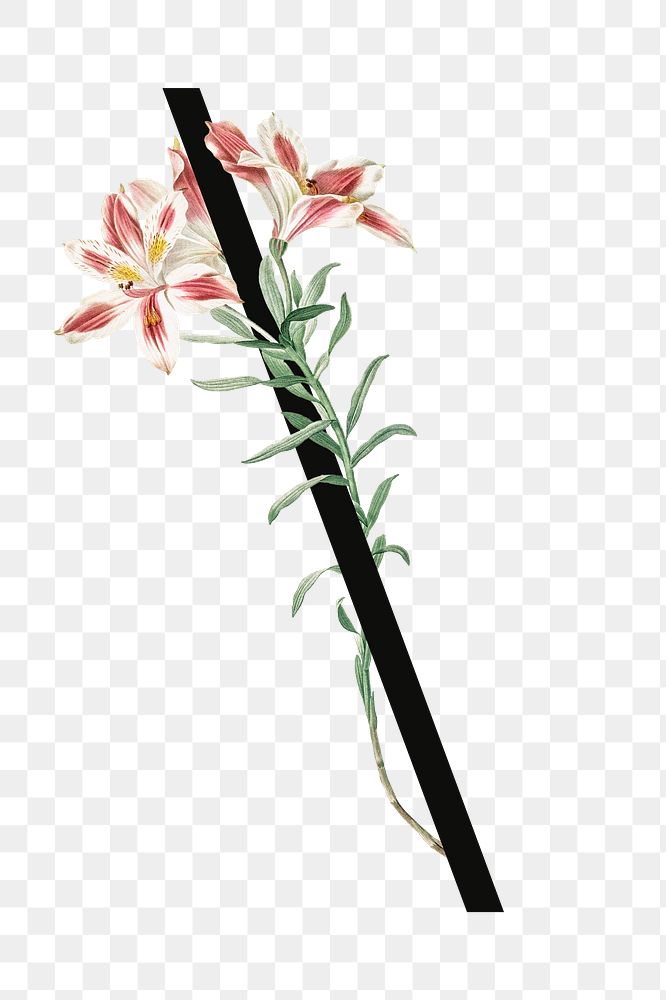 Floral backslash png digital art illustration, transparent background