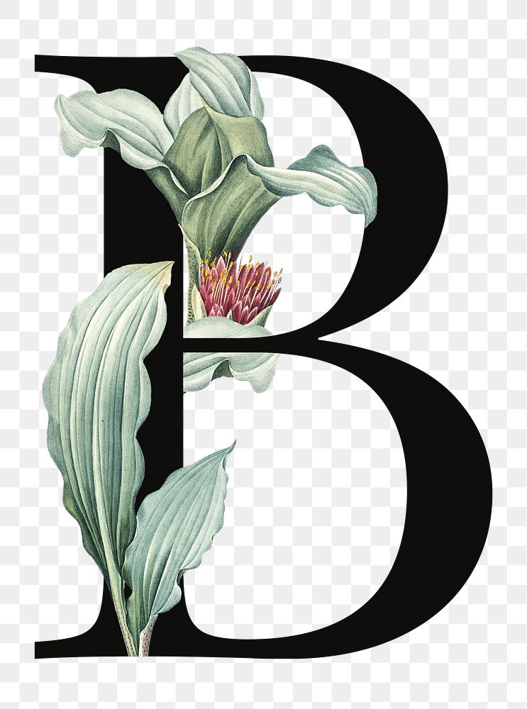 PNG floral letter B digital art illustration, transparent background