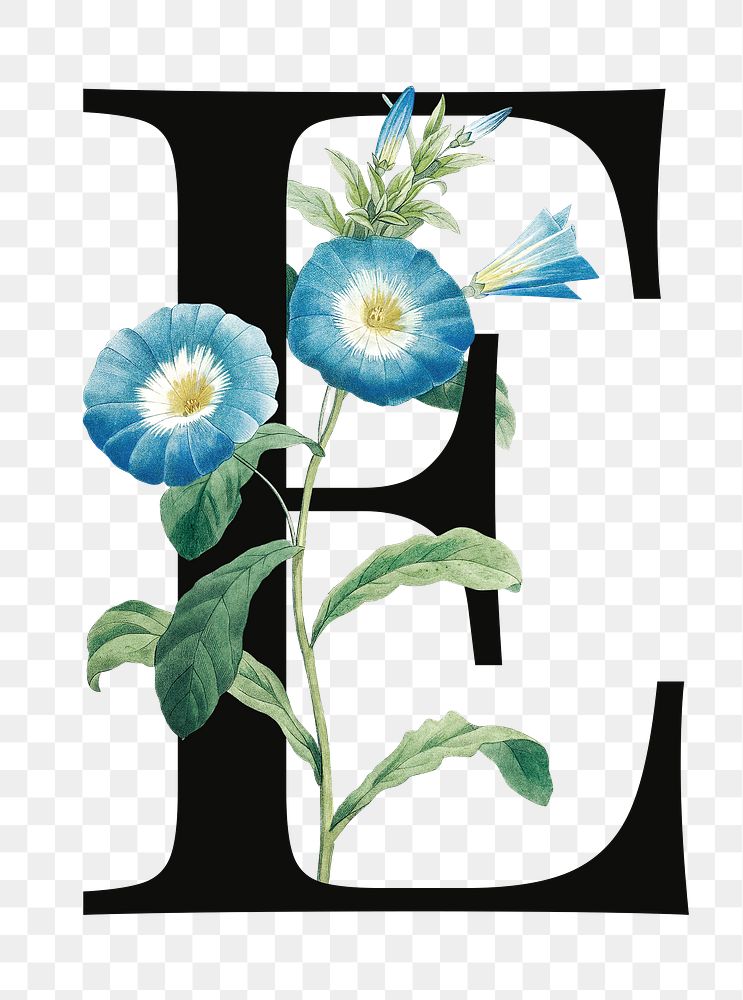 PNG floral letter E digital art illustration, transparent background