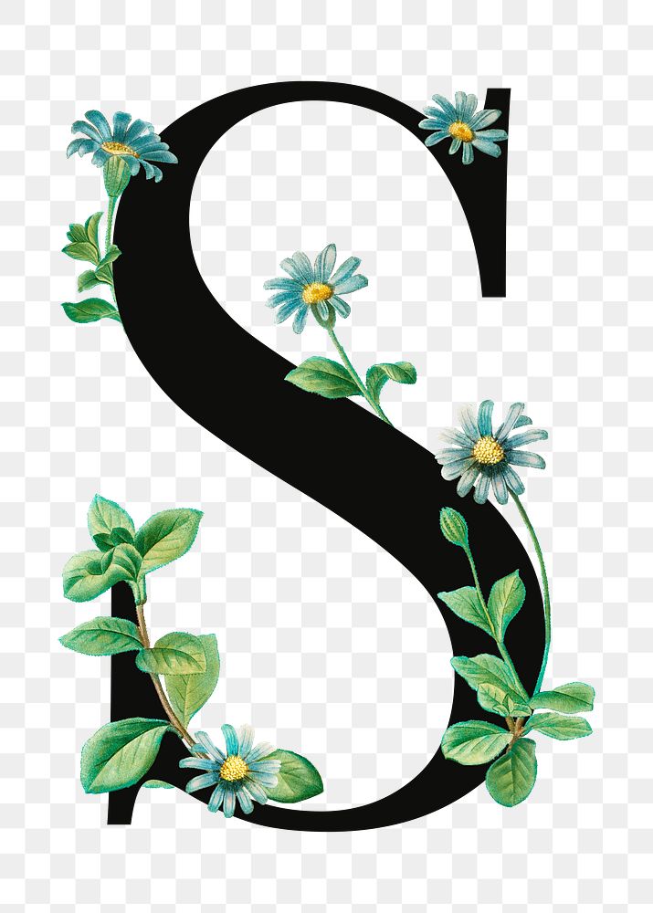 PNG floral letter S digital art illustration, transparent background