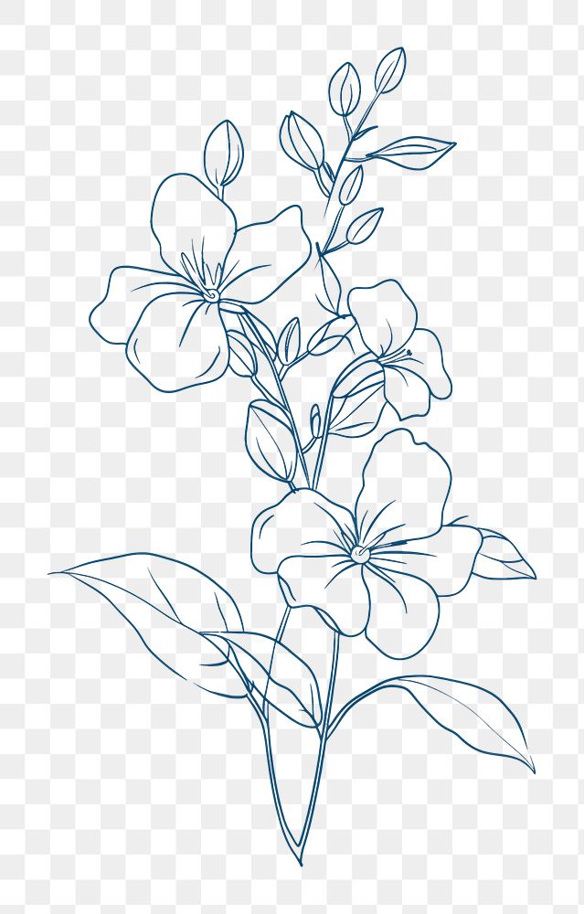 PNG Single line drawing jasmine sketch doodle flower