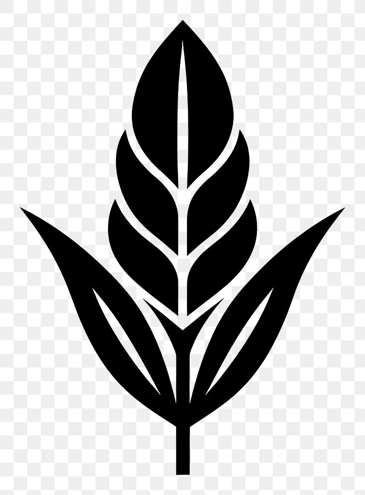 PNG Corn logo icon plant black leaf.