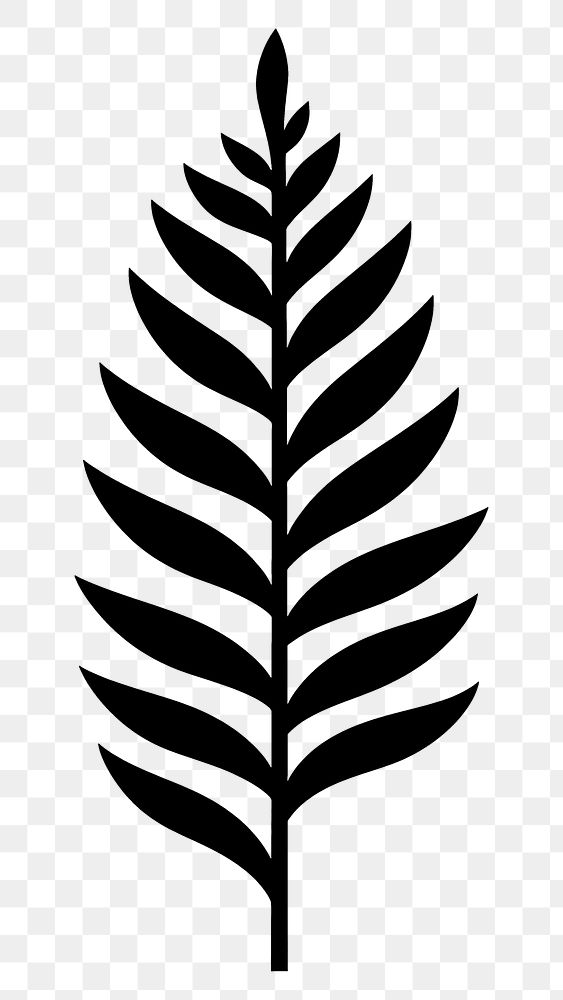 PNG Fern logo icon plant black leaf.