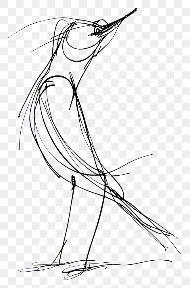 PNG Hand drawn of bird drawing sketch art.