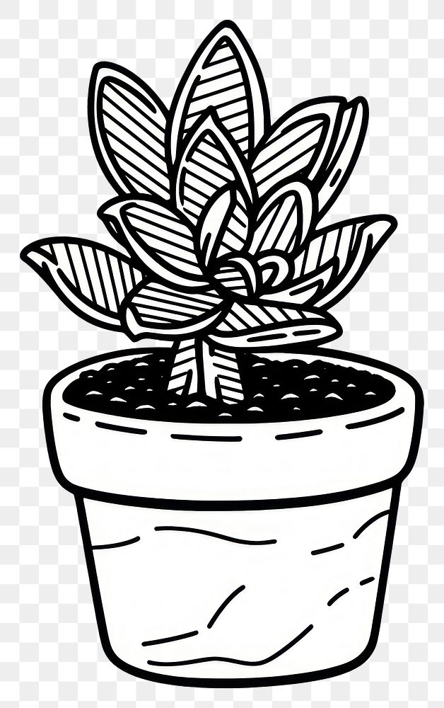 PNG Outline sketching illustration of a plant pot cartoon drawing leaf.