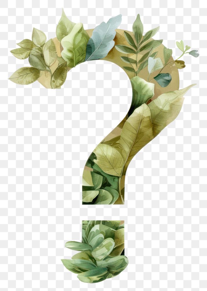 PNG The letter exclamation mark symbol plant leaf.